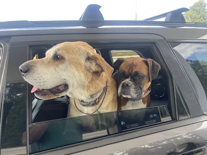 Tidewater Animal Clinic 5