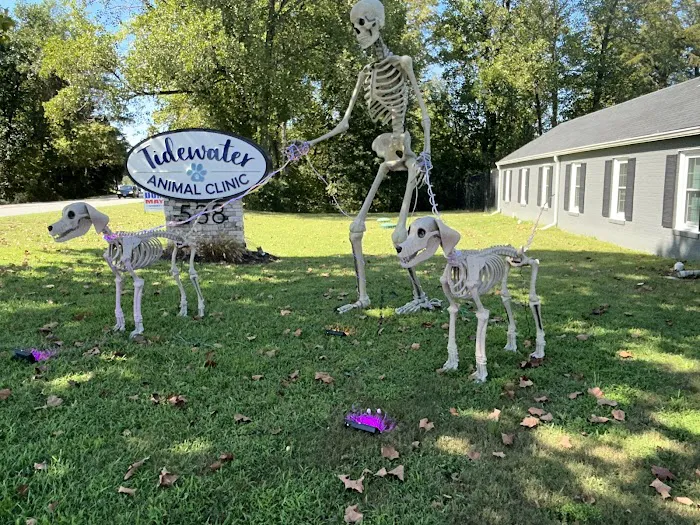 Tidewater Animal Clinic 3