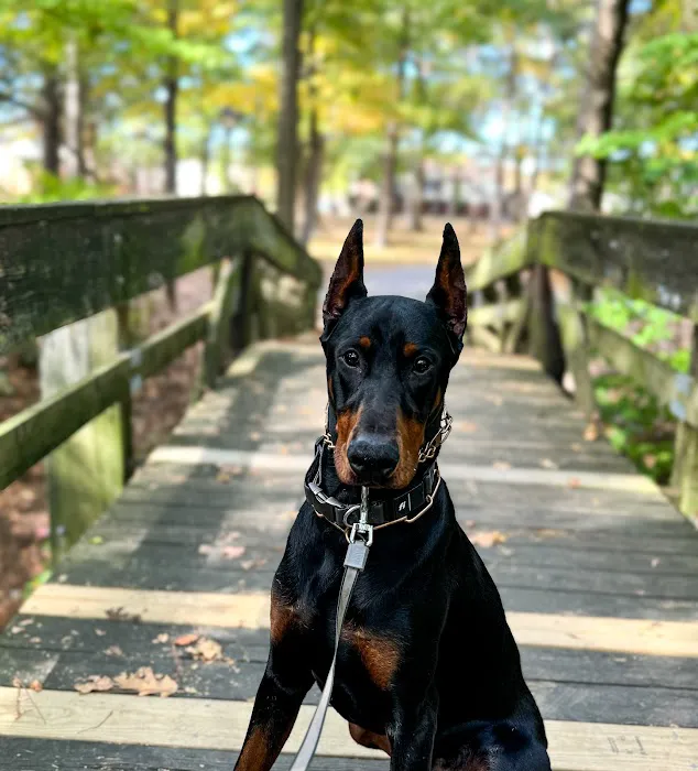 Tidewater Animal Clinic 4