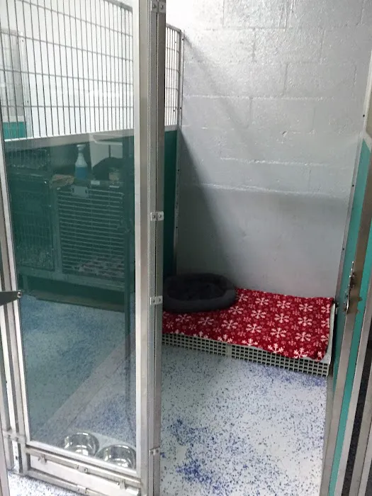 Suffolk Animal Hospital 8