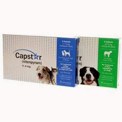 Suffolk Animal Hospital 4