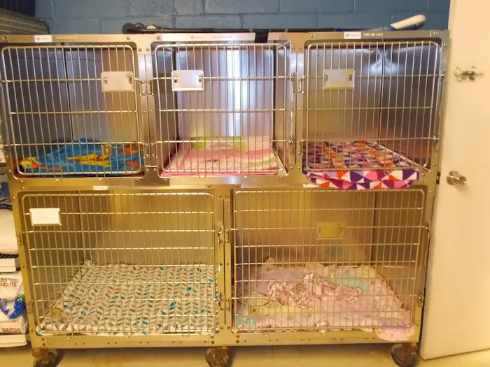 Suffolk Animal Hospital 3