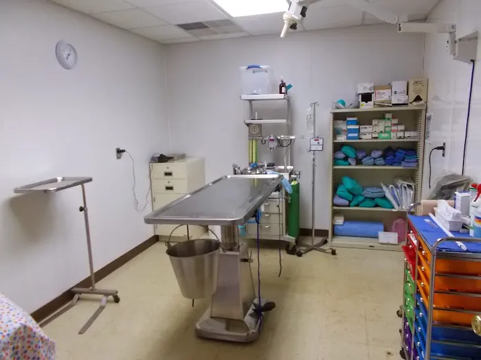 Suffolk Animal Hospital 6