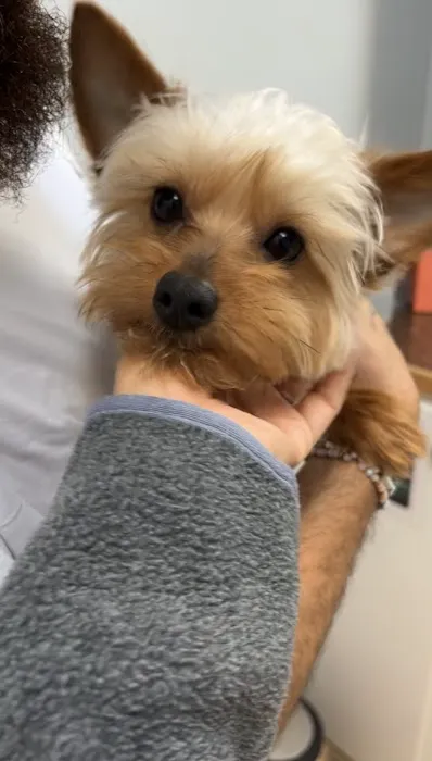 Wateree Animal Hospital 1