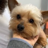 Wateree Animal Hospital ico
