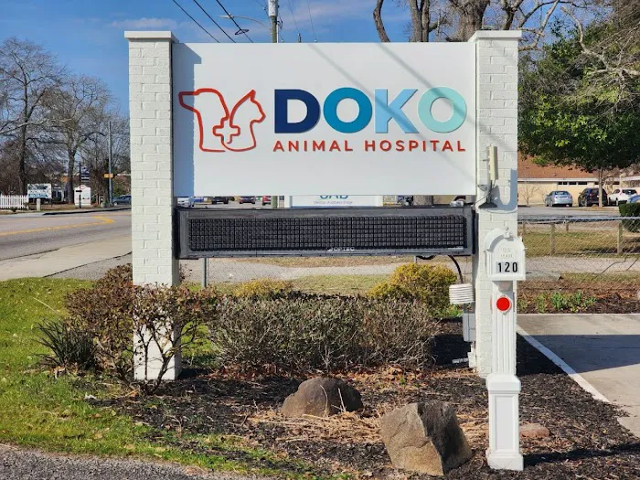DOKO Animal Hospital 9