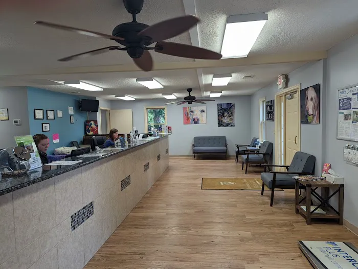 DOKO Animal Hospital 3
