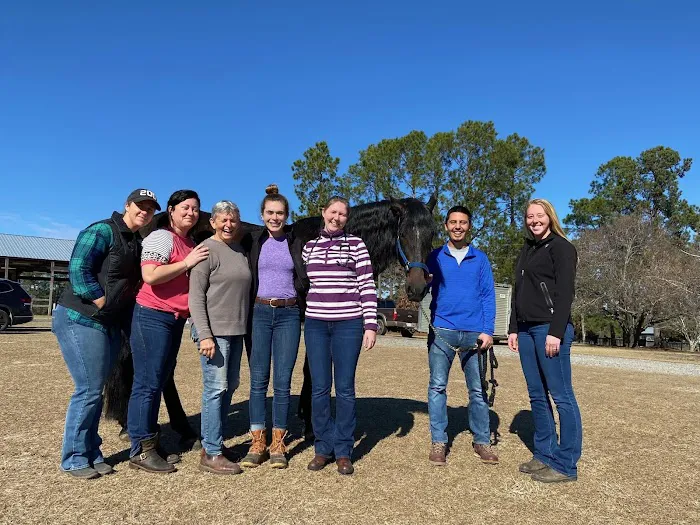 Performance Equine Vets 7