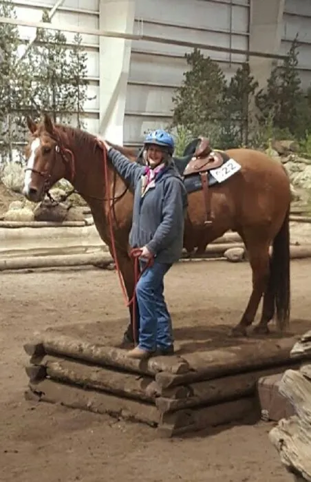 Performance Equine Vets 3