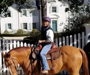 Performance Equine Vets
