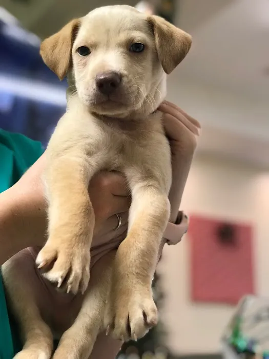 PetCare of Newberry 1