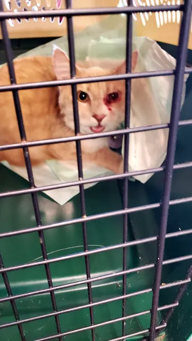 Greenwood Veterinary Hospital 5