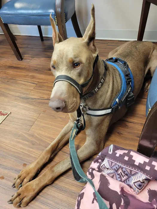 Greenwood Veterinary Hospital 8