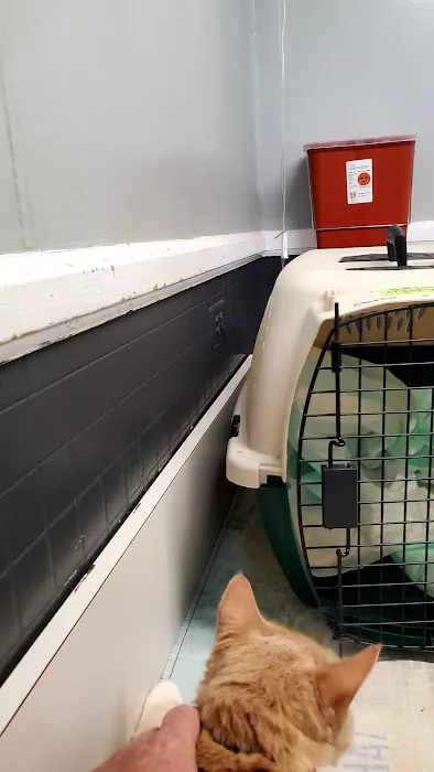 Greenwood Veterinary Hospital 4