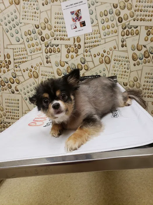 Kinard Animal Hospital 1