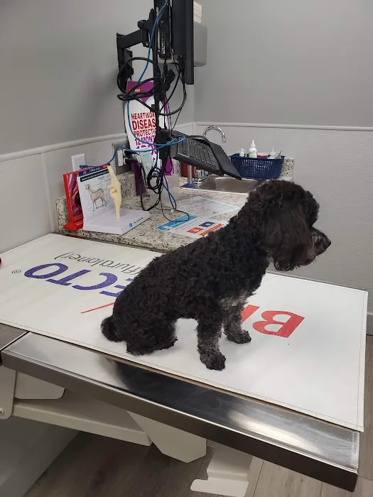 Kinard Animal Hospital 7