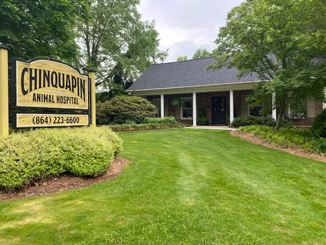 Chinquapin Animal Hospital 10