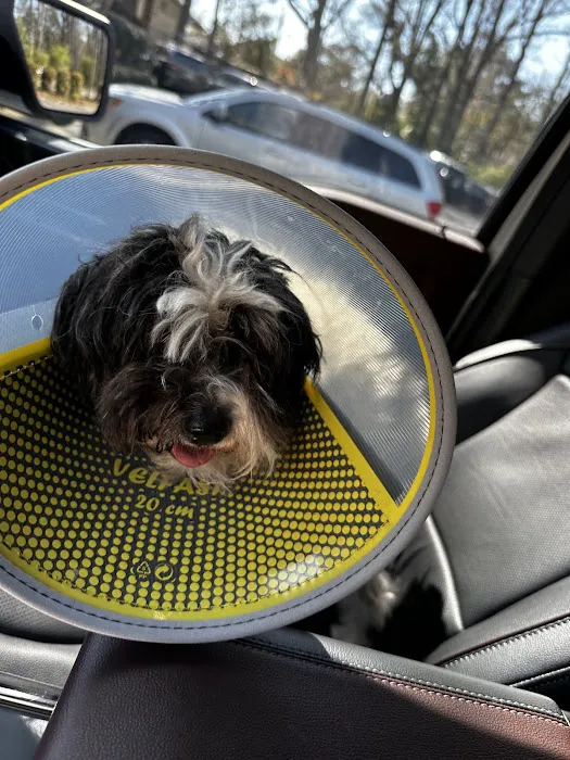 Chinquapin Animal Hospital 1