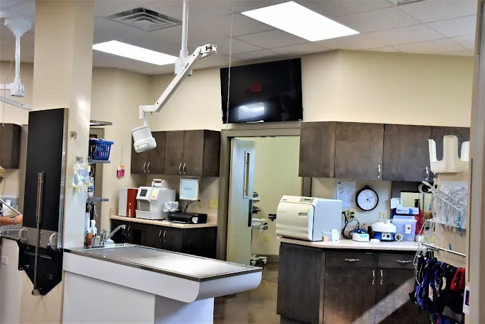 Emerald City Animal Hospital 6