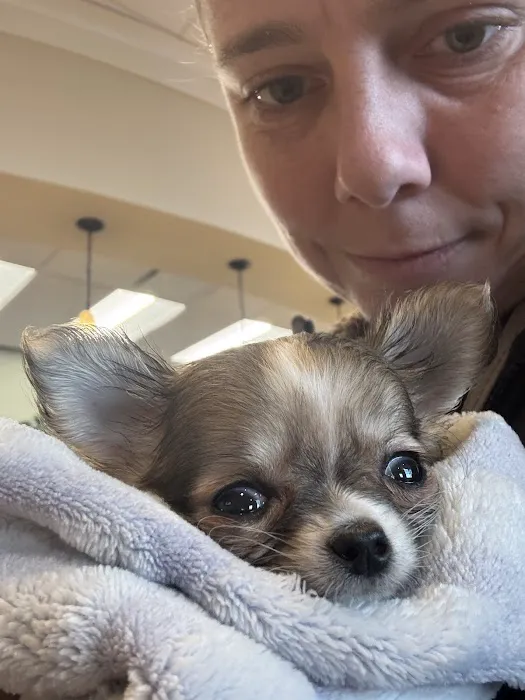 BluePearl Pet Hospital 6