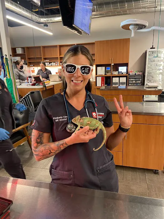 Veterinary Emergency Group 10