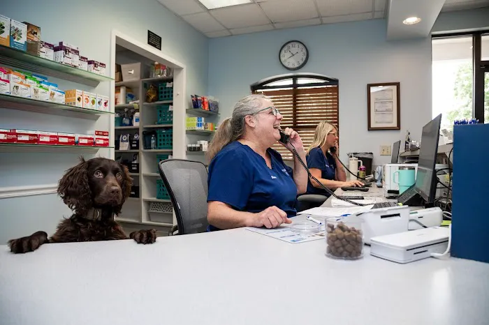 Battleground Hospital for Animals 8