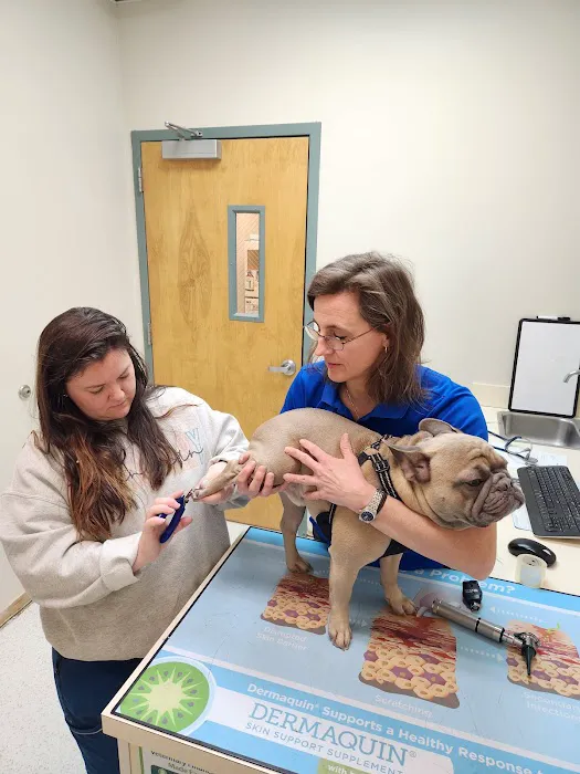 Animal Ark Animal Hospital 2