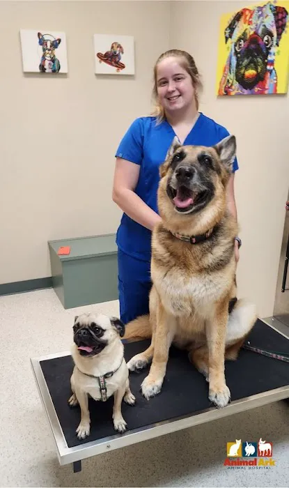 Animal Ark Animal Hospital 5