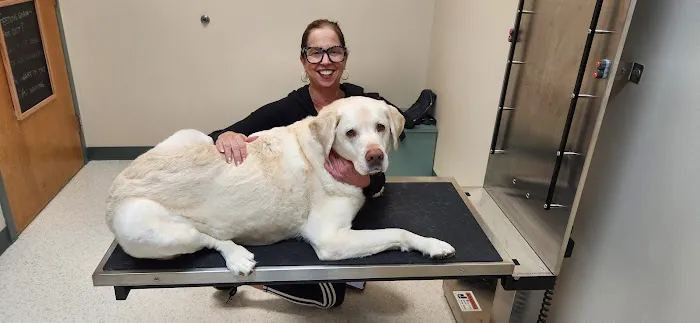 Animal Ark Animal Hospital 1