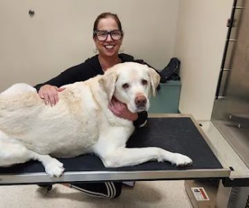 Animal Ark Animal Hospital