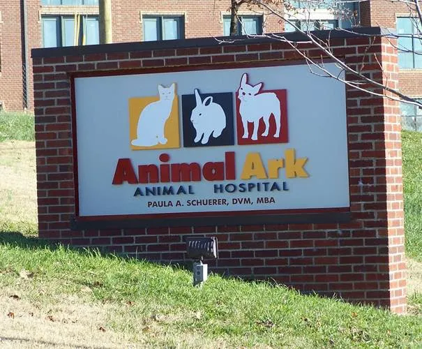 Animal Ark Animal Hospital 4