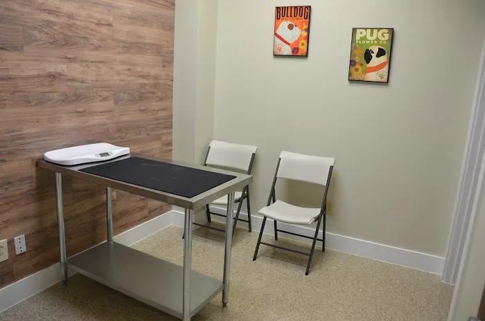 Goose Creek Pet Hospital 1