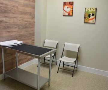 Goose Creek Pet Hospital
