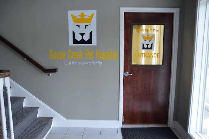 Goose Creek Pet Hospital 6