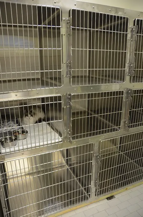 Goose Creek Pet Hospital 8