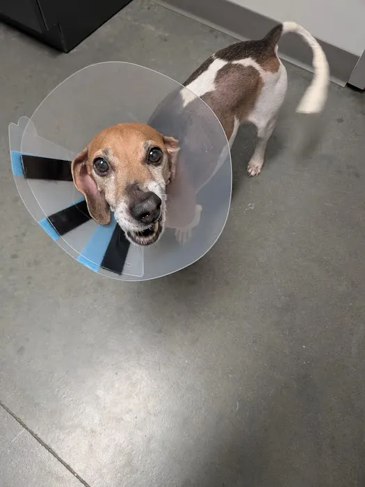 Berry Farms Animal Hospital & Pet Spa 8