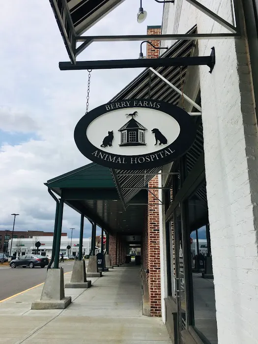 Berry Farms Animal Hospital & Pet Spa 3