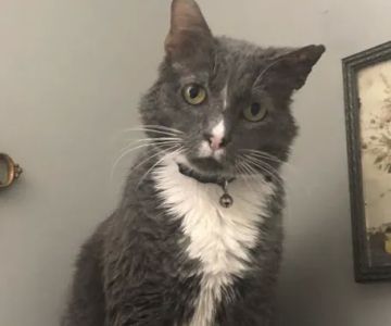 Banfield Pet Hospital