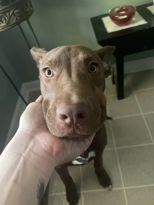 Banfield Pet Hospital 8