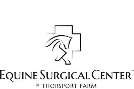 Equine Surgical Center at ThorSport Farm