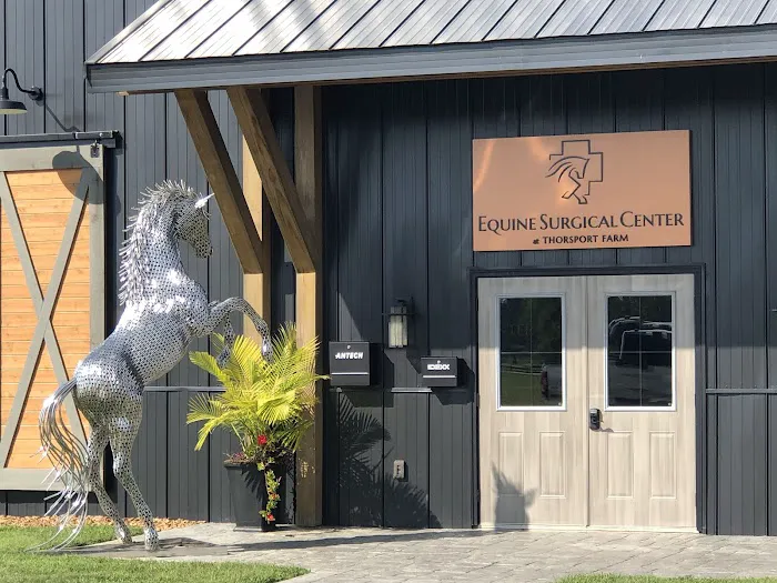 Equine Surgical Center at ThorSport Farm 7