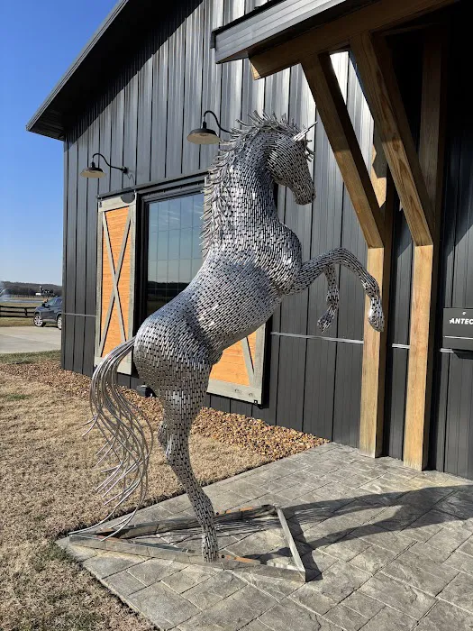 Equine Surgical Center at ThorSport Farm 3