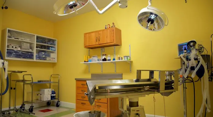 Pet Vet Battlewood 4