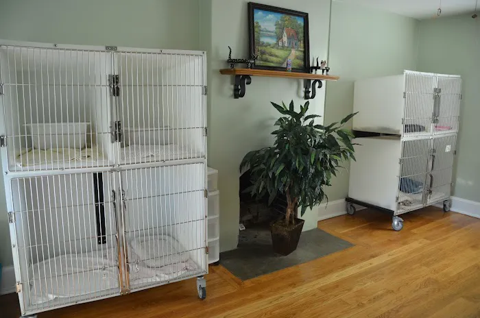 Little House Animal Hospital 10