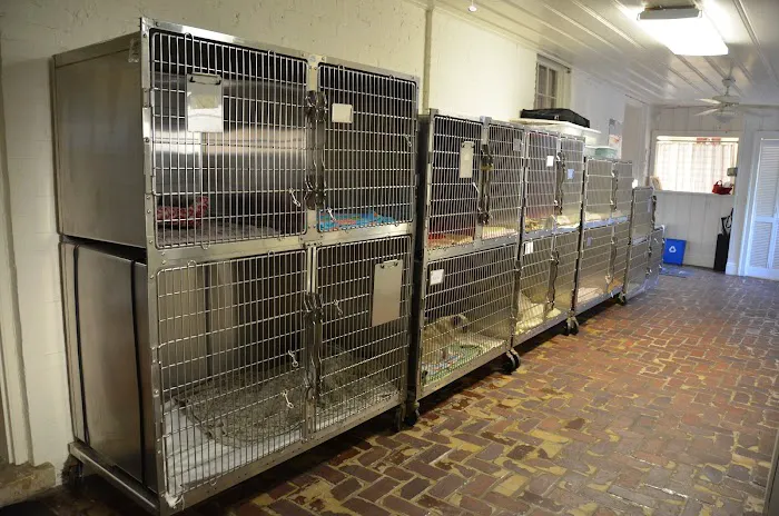 Little House Animal Hospital 9