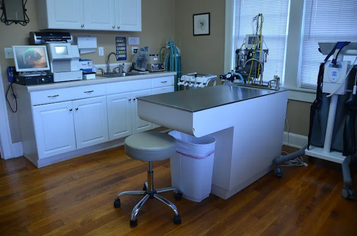 Little House Animal Hospital 3