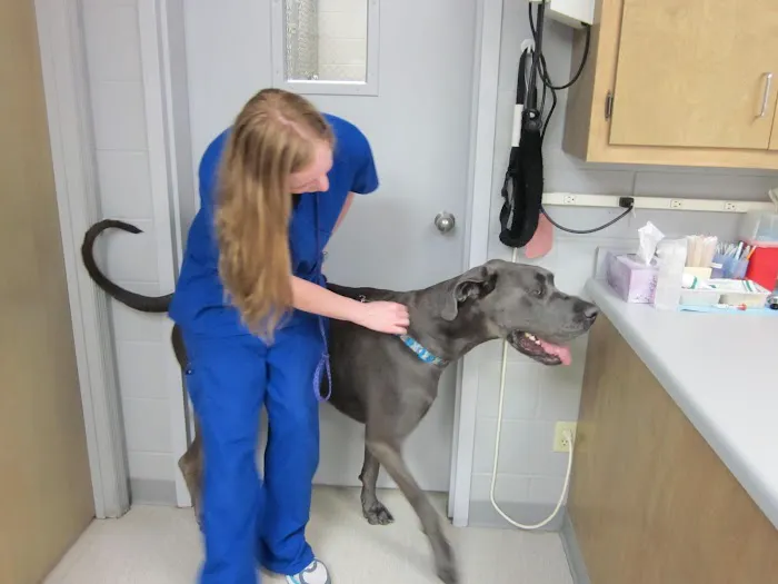Harpeth Hills Animal Hospital 9