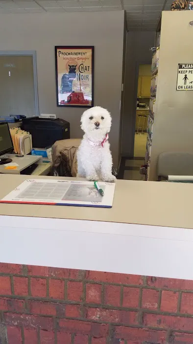Harpeth Hills Animal Hospital 4