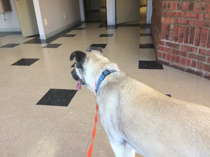 Harpeth Hills Animal Hospital 2