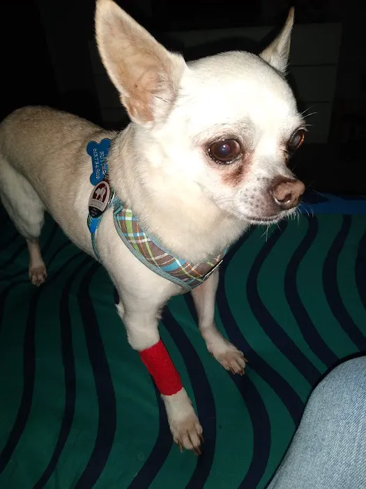 Harpeth Valley Animal Hospital 6